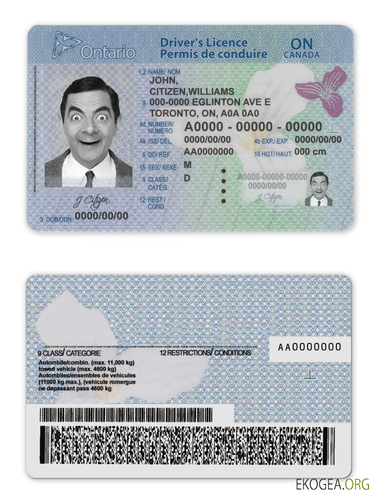 Canada Ontario driving license template in PSD format(2018present)